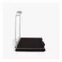 Seca 677 wireless wheelchair scales with handrail and transport castors