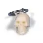 Key Ring Skull W40001