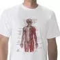 Anatomical T-Shirt Nervous System, L W41020