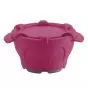 Thermodynamic bowl with lid Holtex cassis 