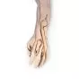 Advanced Venipuncture and Injection Arm, White W44216