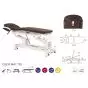 Multi-function Electric Massage Table with peripheral bar Ecopostural C5530