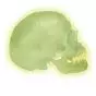 Skull neon light A20/N