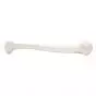 Humerus, left - 3B Scientific A45/1L