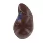 Mediprem liver anatomical model