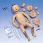 Deluxe Nurse Training Baby with Japanese Facial Features P40