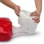 Basic Buddy CPR Torso, 5-Pack