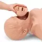 CPR Torso W44597