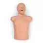 CPR Torso W44597