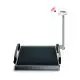 Seca 677 wireless wheelchair scales with handrail and transport castors