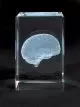 MEDart™ Glass Block Brain MAC15G