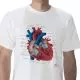 Anatomical T-Shirt Heart, L W41018