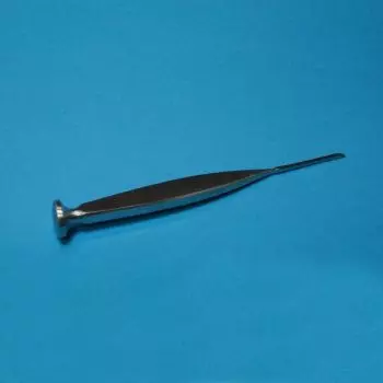 Chisel Poirier, head round, 16 cm x 2 mm Holtex