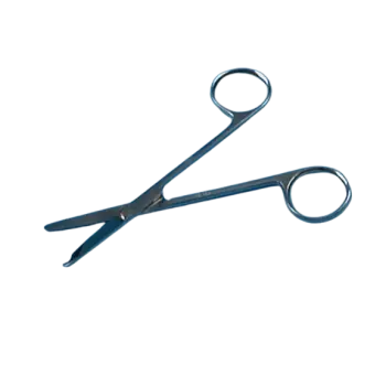 Scissors over Spencer, 11 cm