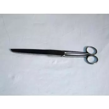 Lingère scissors, 26 cm Holtex