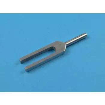 Diapason without cursor n1024 VD, 13 cm holtex