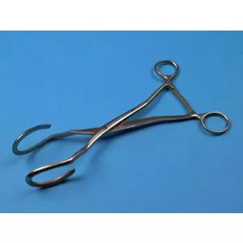 Hystérolabe Dartiques, 25 cm Holtex