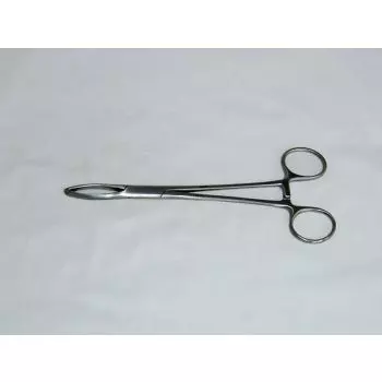 Dissection forceps Littlewood, 18 cm, 2x2 claws Holtex