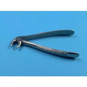 Adult Forceps n 13 canines and premolars, 15 cm Holtex