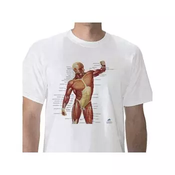 Anatomical T-Shirt Musculature, XL W41013