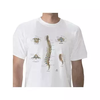 Anatomical T-Shirt Spine, XL W41031