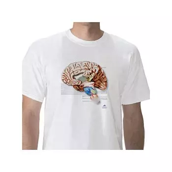 Anatomical T-Shirt Brain, XL W41039