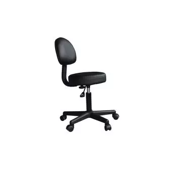 Revolving Classic Stool with Backrest in Black Mediprem
