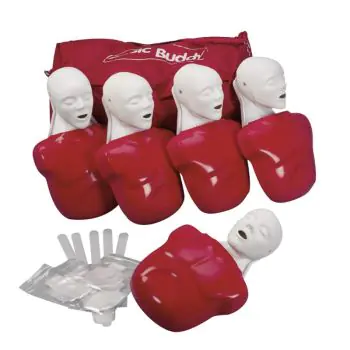 Basic Buddy CPR Torso, 5-Pack