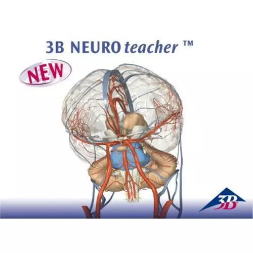 3B NEUROteacher™, Up to 15 User License 