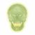 Skull neon light A20/N