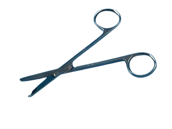 Scissors over Spencer, 11 cm
