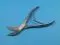 Moure Clipper , for thyrodectomie, 20 cm Holtex