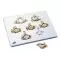 Set of 7 BONElike Cervical Vertebrae A790