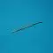 Knife Desmarres -Paufique for  keratoplasty, 10 mm holtex