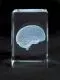 MEDart™ Glass Block Brain MAC15G