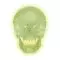 Skull neon light A20/N