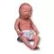 Latin Baby Care, male W17008