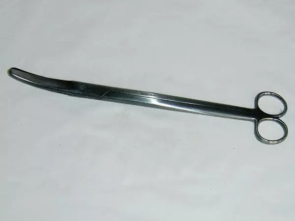 Scissors  Dubois, 27 cm, curved Holtex