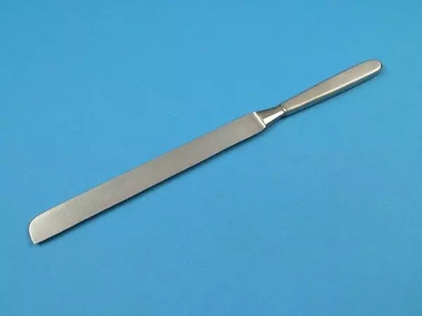 Brain knife, blade 19 cm Holtex