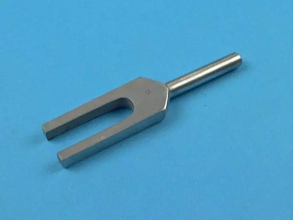 Diapason, without cursor, N2048 VD, 13 cm Holtex