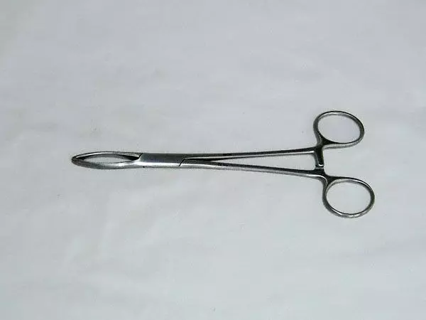 Dissection forceps Littlewood, 18 cm, 2x2 claws Holtex