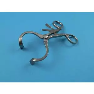 Mouth-Opener Dean, adult Holtex