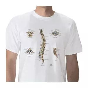 Anatomical T-Shirt Spine, XL W41031