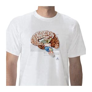 Anatomical T-Shirt Brain, XL W41039