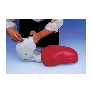 Basic Buddy CPR Torso W44108