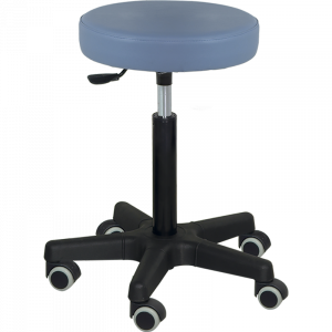 Stainless steel stool 5 casters Holtex