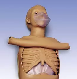 Adult CPR Torso W45117