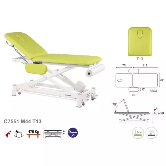 Electric Massage Table in 2 parts Ecopostural C7551 with armrests