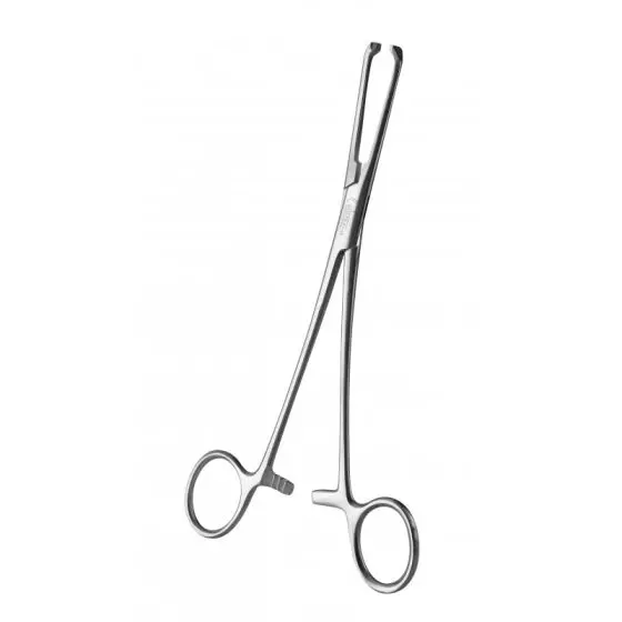 Allis forceps, 15 cm holtex