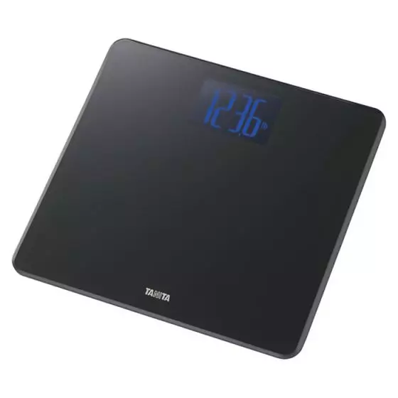 HD-366 Digital Weight Scale